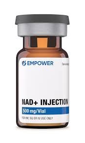 NAD+ – 500G × 1 VIAL